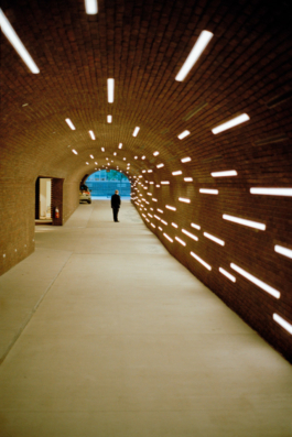 The Struggle, personal photographic project, New York.