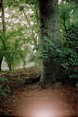 The Struggle, personal photographic project, New York.