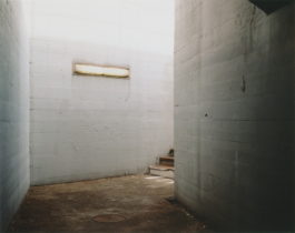 Swiss Bliss research project, contemporary urban landscape in Ticino City, Switzerland.