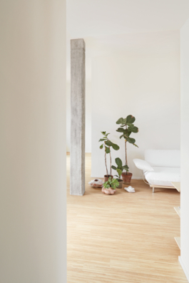 Interior photography of a private apartment in Milan designed by Federico Simonato