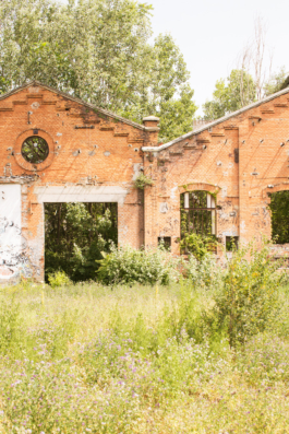 Former Laminatoio Tempini, Vuoto Futuro architecture workshop, Brescia, Italy.