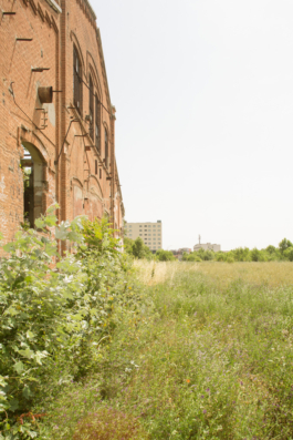 Former Laminatoio Tempini, Vuoto Futuro architecture workshop, Brescia, Italy.