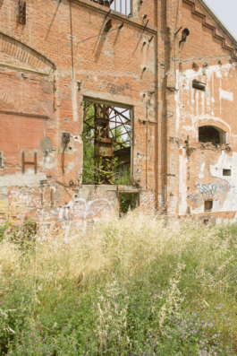 Former Laminatoio Tempini, Vuoto Futuro architecture workshop, Brescia, Italy.