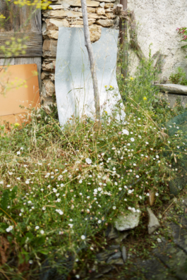 Borgomaro, Imperia, Liguria, photographic project “Borgomaro, luoghi e presenze”. 